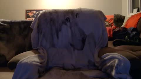 jameswolf777 online show from 16, 12, 2025