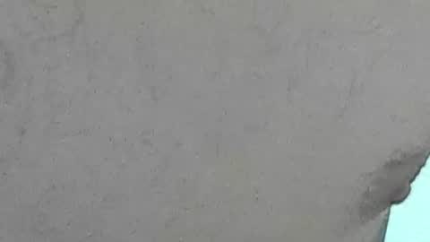 Bootyshows online show from 28, 7, 2026