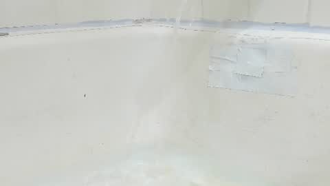 Bootyshows online show from 4, 8, 2026