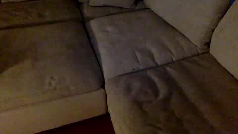 janicepepper online show from 2, 4, 2026