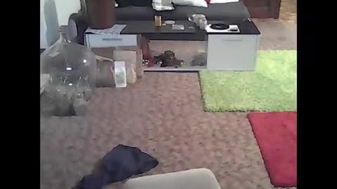 Snapshot of jankoren123456789 chatting on 23, 1, 2025 mature-man online show from 23, 1, 2025