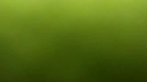 jarret8222 online show from 5, 3, 2026