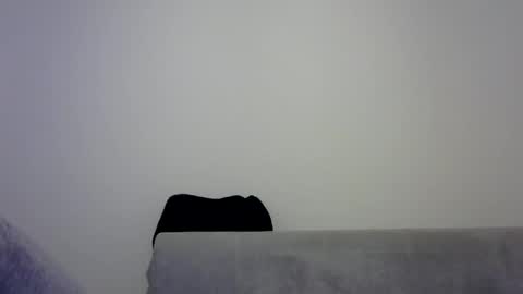 jaspal55 online show from 9, 11, 2025