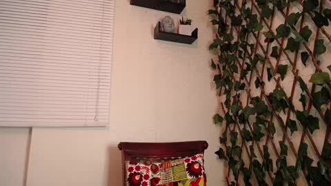 Snapshot of jasson_king01 chatting on 31, 12, 2024 JKing online show from 31, 12, 2024