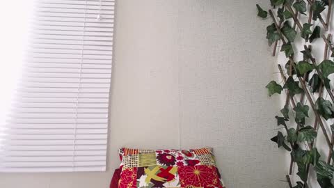 Snapshot of jasson_king01 chatting on 8, 1, 2025 JKing online show from 8, 1, 2025
