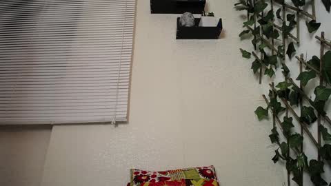 Snapshot of jasson_king01 chatting on 23, 1, 2025 JKing online show from 23, 1, 2025