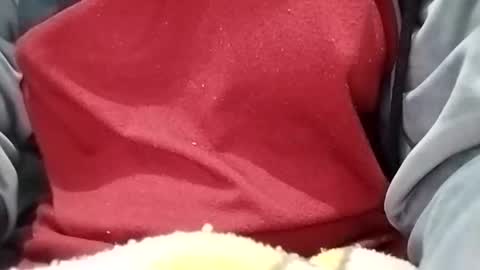 Snapshot of jasspreettt chatting on 30, 1, 2025 jasspreettt online show from 30, 1, 2025