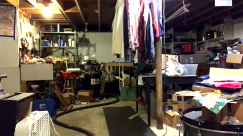 Jaws  online show from 3, 11, 2025