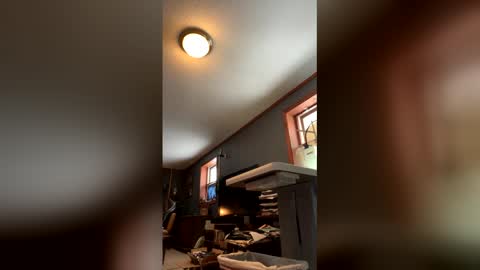 Snapshot of jawssharkparty chatting on 17, 1, 2026 Jaws online show from 17, 1, 2026