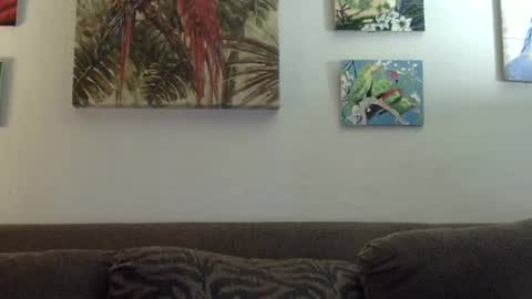 jay-jay1475 online show from 21, 1, 2025