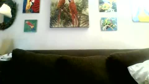 jay-jay1475 online show from 30, 1, 2025