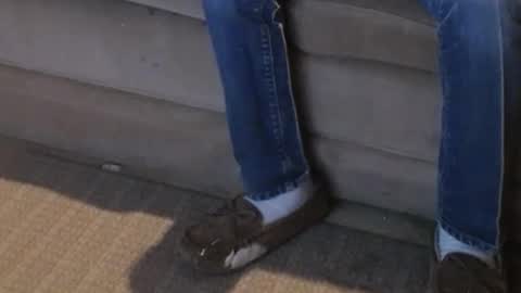 O F   jay short786 online show from 22, 2, 2025