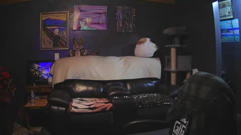 Grand Zaddy or Jay its casual online show from 15, 3, 2026