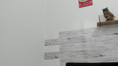 Jaycreedd online show from 16, 11, 2025