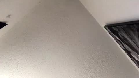 Jayfly online show from 4, 12, 2024