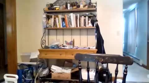 jaythenorth online show from 11, 2, 2026