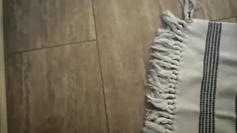 jbigblue online show from 11, 1, 2026