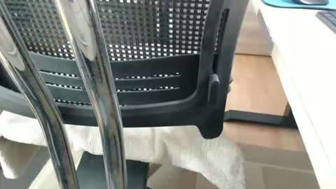 jc200000 online show from 21, 4, 2026