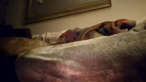 Snapshot of jcramirez1975 chatting on 21, 12, 2024 Jcramirez1975s online show from 21, 12, 2024