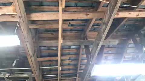 jeepcod87 online show from 3, 4, 2026