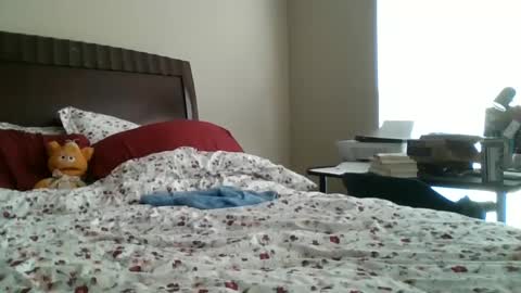 Snapshot of jennibean6996 chatting on 30, 9, 2025 Jennibean6996 online show from 30, 9, 2025