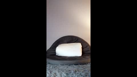 Snapshot of jenny_twinkle chatting on 8, 2, 2026 Jenny Star online show from 8, 2, 2026