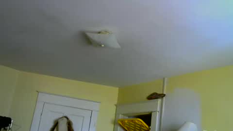 Jenn -  come to my onlyfans online show from 10, 4, 2026