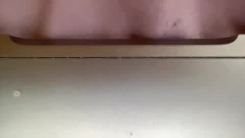 Snapshot of jerking1981 chatting on 25, 12, 2024 jerking1981 online show from 25, 12, 2024