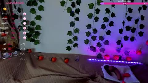 SakuraMio online show from 22, 11, 2025