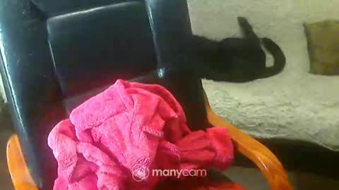 Snapshot of jessjess4you chatting on 2, 2, 2025 jessjess4you online show from 2, 2, 2025