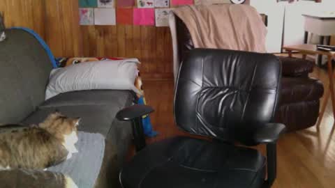 jettadude5 online show from 25, 1, 2025