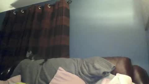 Snapshot of jilfyj chatting on 15, 3, 2026 jilfyj online show from 15, 3, 2026