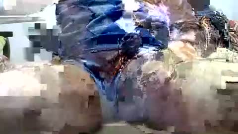 jimii281 online show from 25, 3, 2026