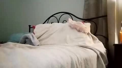 Snapshot of jimz169 chatting on 4, 1, 2025 Jimz14u online show from 4, 1, 2025