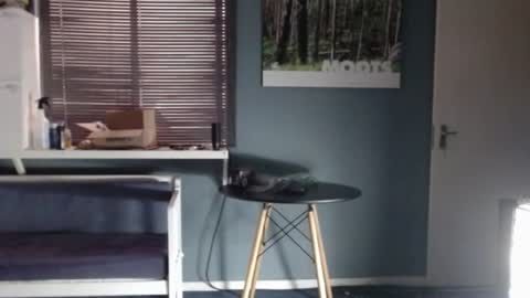 Snapshot of jjameson41 chatting on 18, 12, 2025 JamesJan van Rebel online show from 18, 12, 2025