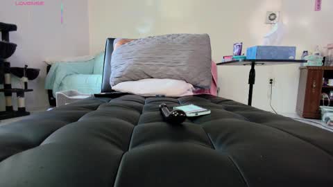 Nicole  Allen online show from 18, 9, 2025