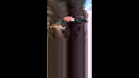 jkint0702 online show from 17, 5, 2026
