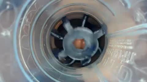 J online show from 13, 12, 2024