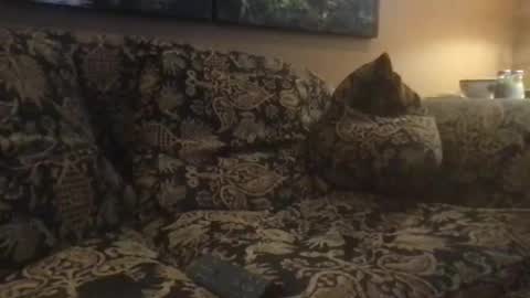 Snapshot of jlk7777 chatting on 25, 2, 2025 jlk7777 online show from 25, 2, 2025