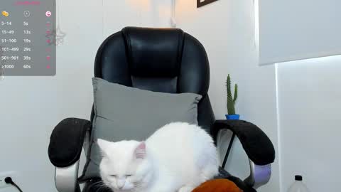 IGJmortton online show from 1, 12, 2025