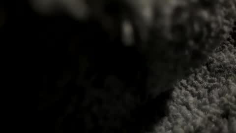 joekent795447 online show from 20, 4, 2026