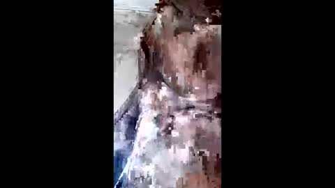 johan3084 online show from 9, 4, 2026