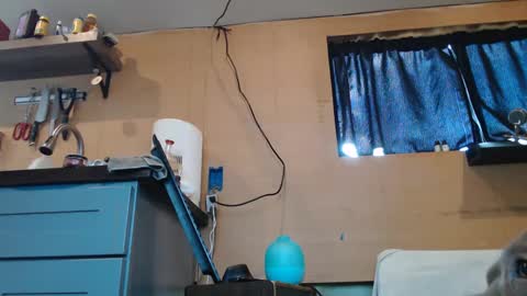 Snapshot of johnplayer23 chatting on 1, 1, 2025 johnplayer23 online show from 1, 1, 2025