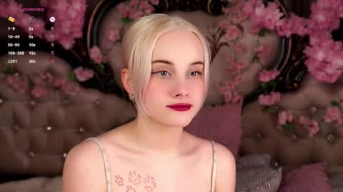 Alice online show from 17, 3, 2026