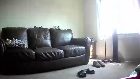 Snapshot of jonny4u_xxx chatting on 8, 6, 2026 John online show from 8, 6, 2026