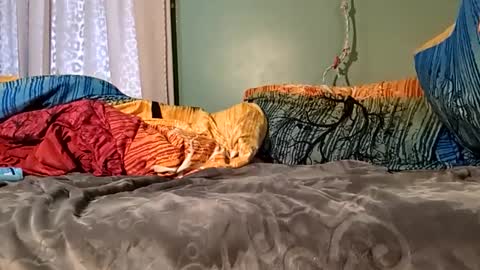 Snapshot of jorjina_x_mckie chatting on 9, 1, 2025 jorjina_x_mckie online show from 9, 1, 2025