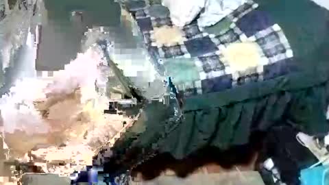 Snapshot of jose496031 chatting on 12, 11, 2025 jose online show from 12, 11, 2025