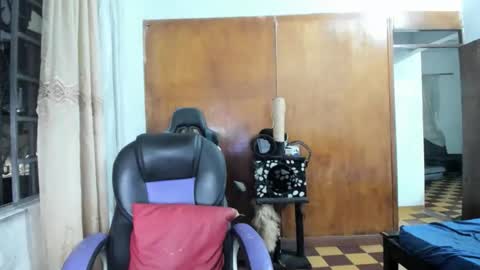 MR OAK online show from 28, 10, 2025