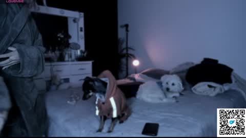 Snapshot of jossephine_ chatting on 21, 1, 2025 josephine independent model online show from 21, 1, 2025