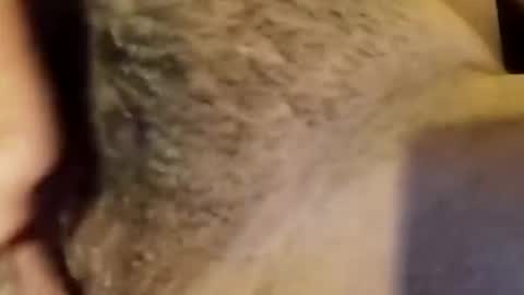 jsjsjdjsjjdx online show from 9, 1, 2026